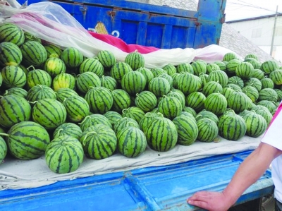 消暑降溫，永大機(jī)械購買解暑西瓜